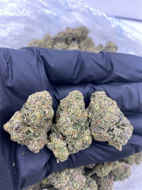 bolo runtz strain indica or sativa